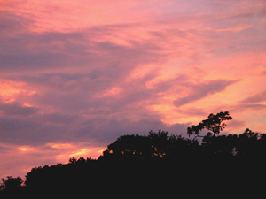 [it seems like years since its been here]