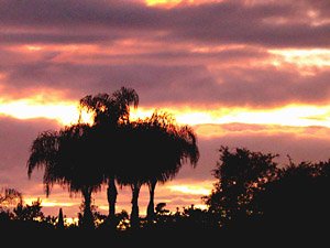 [here comes the sun]