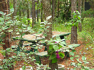 [picnic bench]