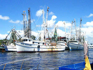 [watchin the tide roll away]