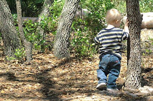 [be there when I feed the tree]