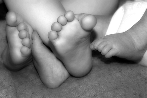 [this little piggie stayed home]