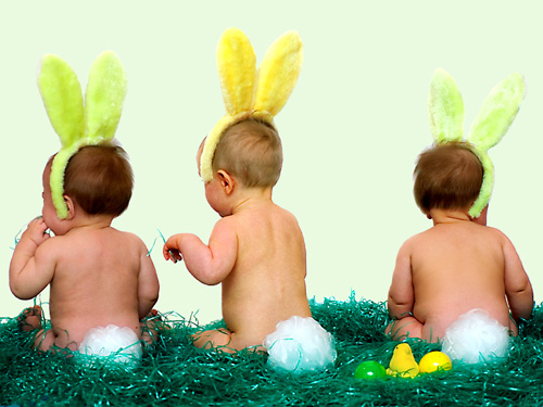 [little bunnies foo foo]