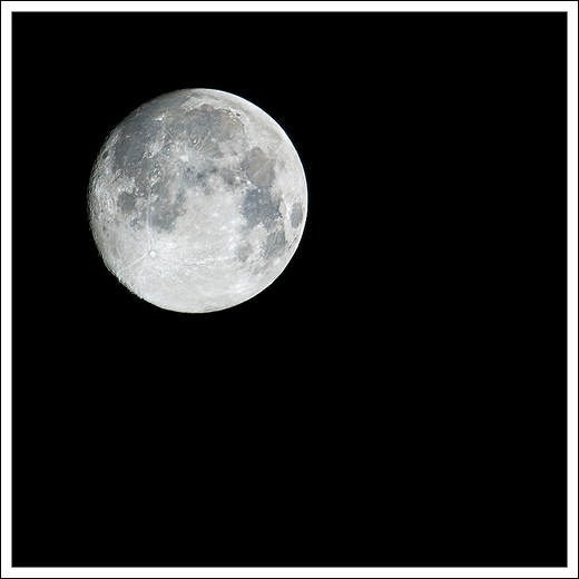 [moon pie]