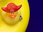 [You have been voted off Ducky Island]