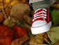 [The leaves are falling back east]