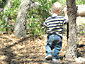 [Be there when I feed the tree]