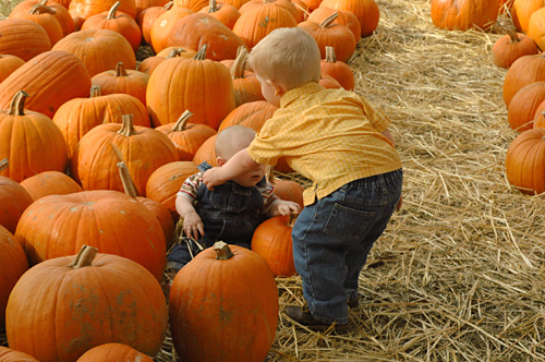 [ready for your closeup]