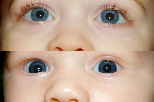 [eyes without a face]