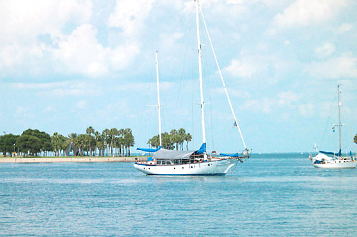 [boat on Tampa Bay in St Pete]